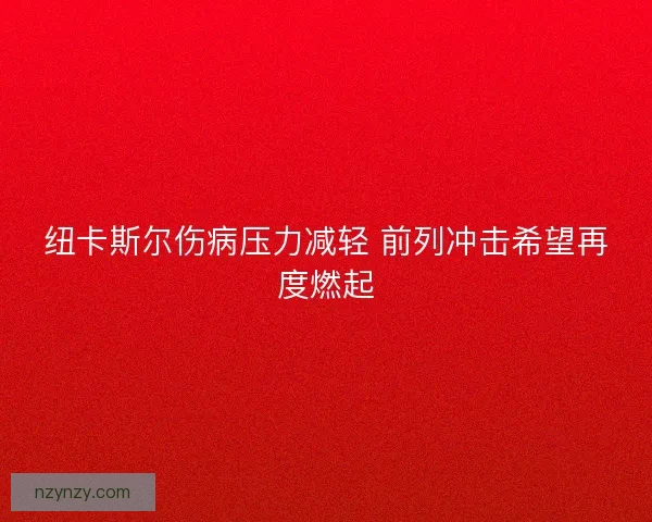 纽卡斯尔伤病压力减轻 前列冲击希望再度燃起